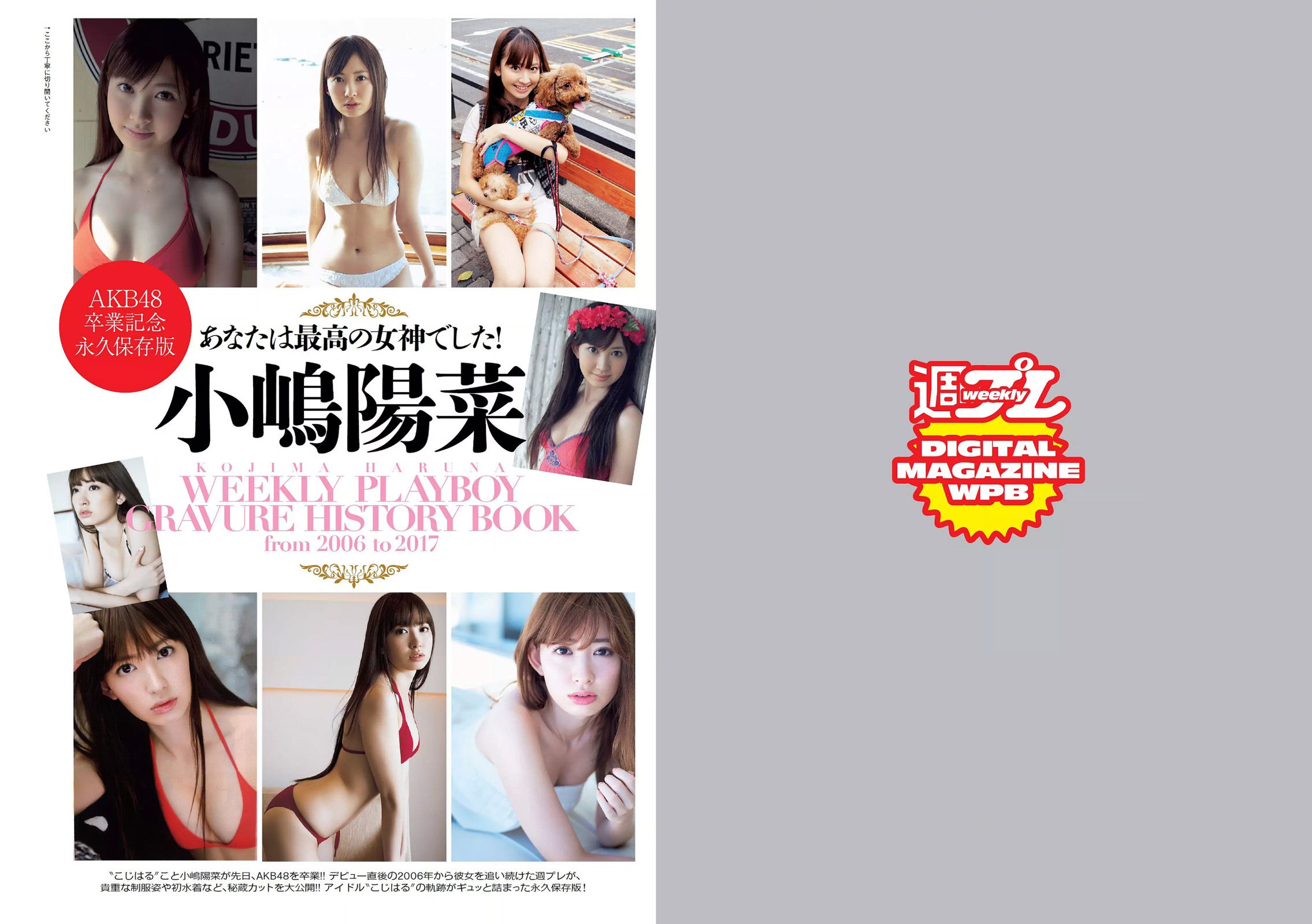 馬場ふみか 小嶋陽菜 天木じゅん 朝比奈彩 逢沢りな 浅川梨奈 藤木由貴 [Weekly Playboy] 2017年No.19-20 写真杂志