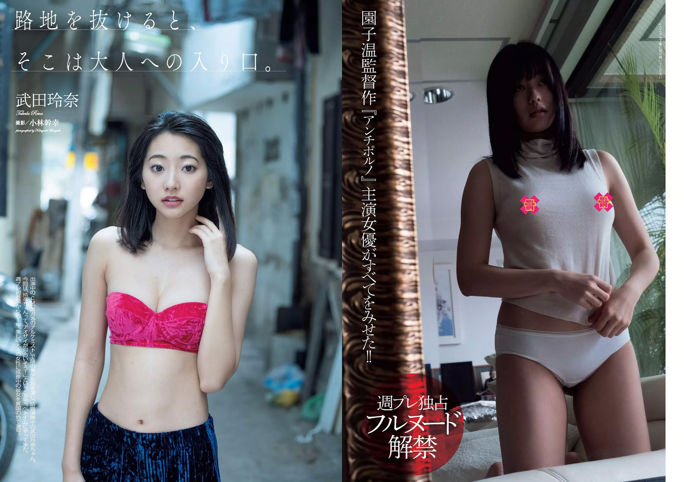 武田玲奈 冨手麻妙 川口春奈 瑠衣夏 野村麻純 入矢麻衣 橋本梨菜 [Weekly Playboy] 2017年No.07 写真杂志