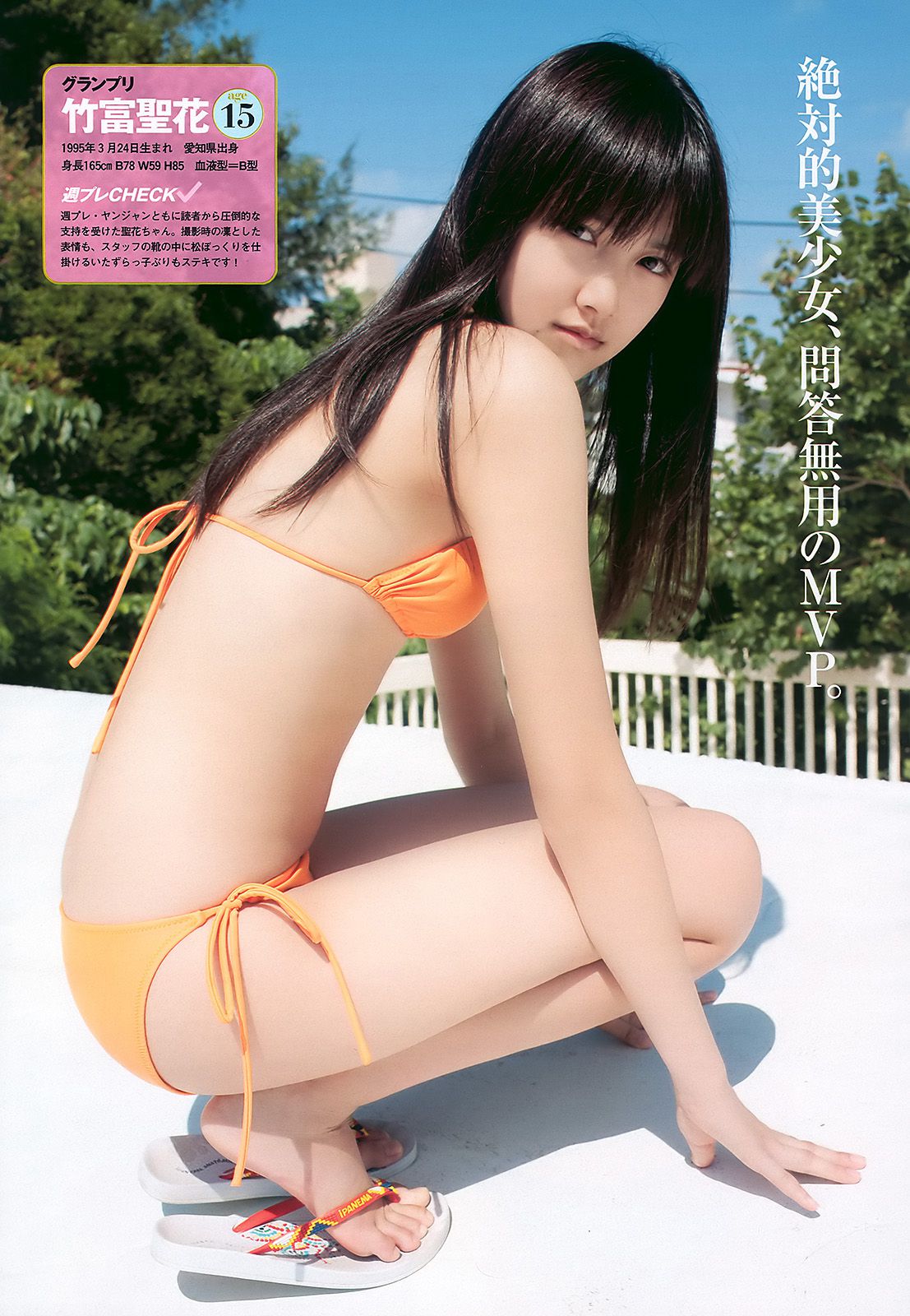 グラビアJAPAN 宮崎麗香 谷桃子 甲斐まり恵 森崎友紀 伊達あい [Weekly Playboy] 2010年No.46 写真杂志